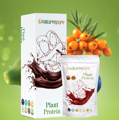 Plant Protein